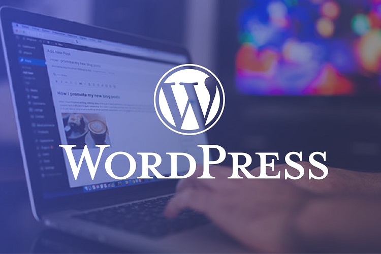 WordPress Course