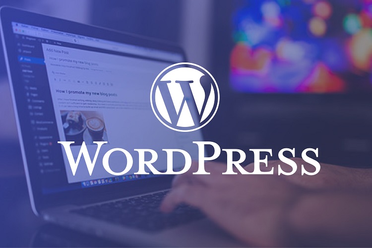 WordPress Course